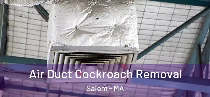 Air Duct Cockroach Removal Salem - MA