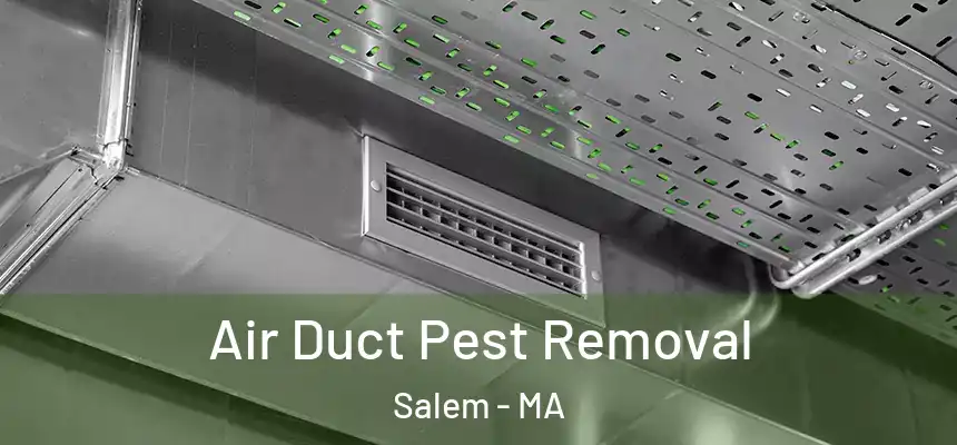 Air Duct Pest Removal Salem - MA