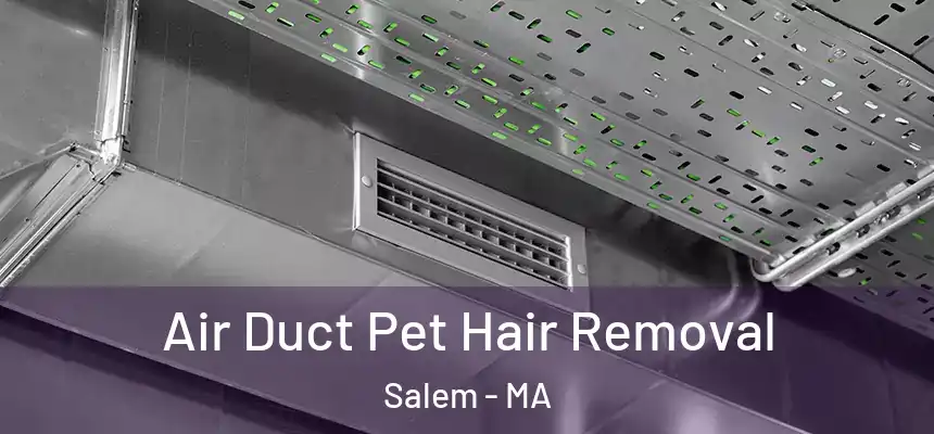 Air Duct Pet Hair Removal Salem - MA
