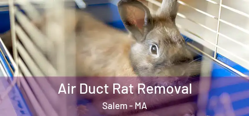 Air Duct Rat Removal Salem - MA