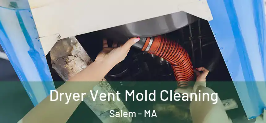 Dryer Vent Mold Cleaning Salem - MA