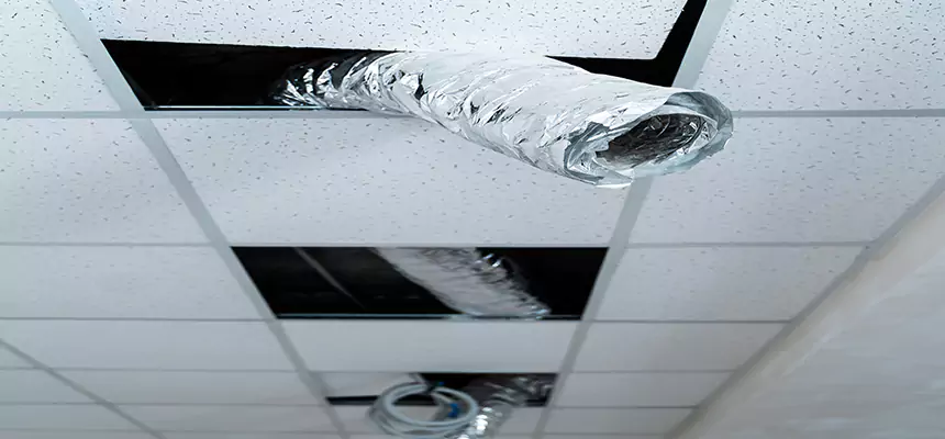 Our Air Duct Pet Hair Removal Services in Salem, MA