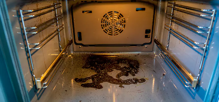 Our Dryer Vent Mold Cleaning Services in Salem, MA