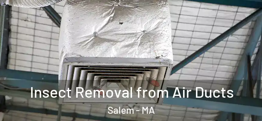  Insect Removal from Air Ducts Salem - MA