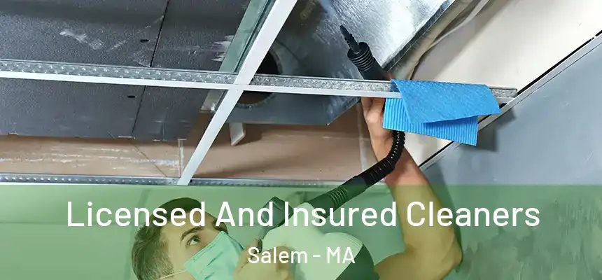  Licensed And Insured Cleaners Salem - MA