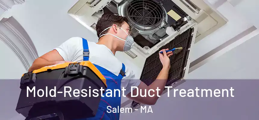  Mold-Resistant Duct Treatment Salem - MA
