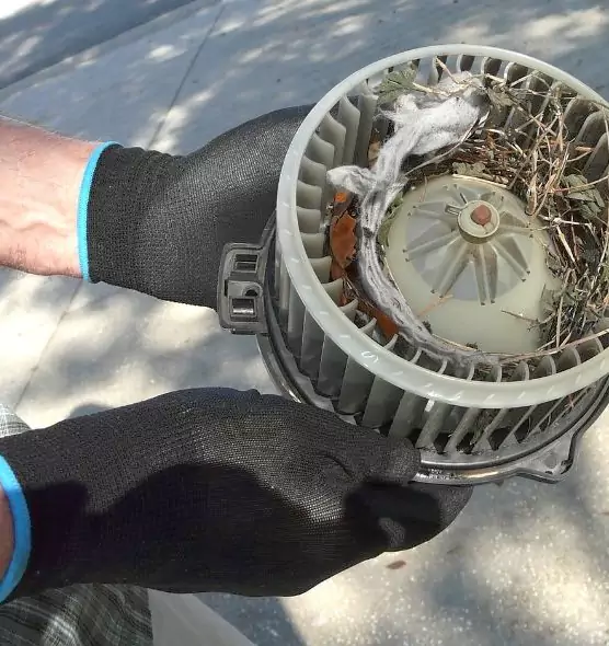 About Air Duct Rat Removal in Salem, MA