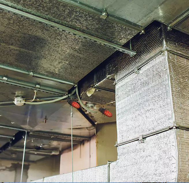 Why Homeowners & Businesses Trust Us in Salem, MA?