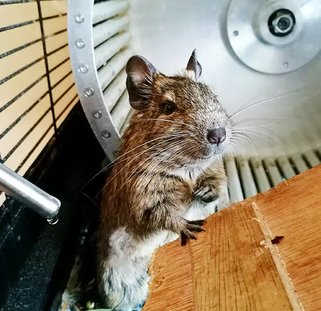 Why Homeowners & Businesses Trust Us Salem, MA