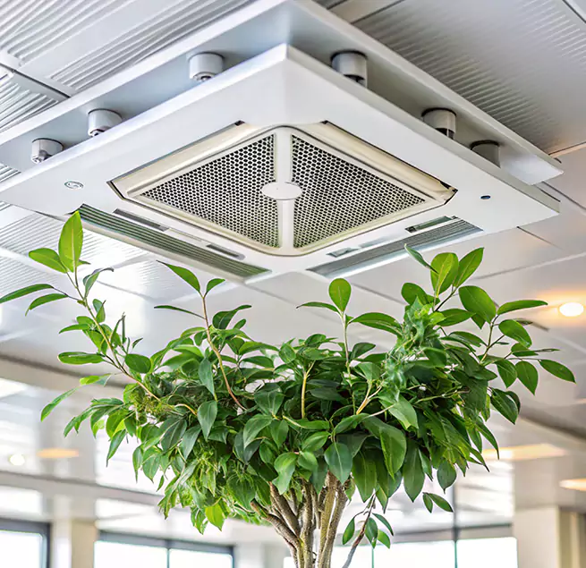 Why Homeowners & Businesses Trust Us in Salem, MA?