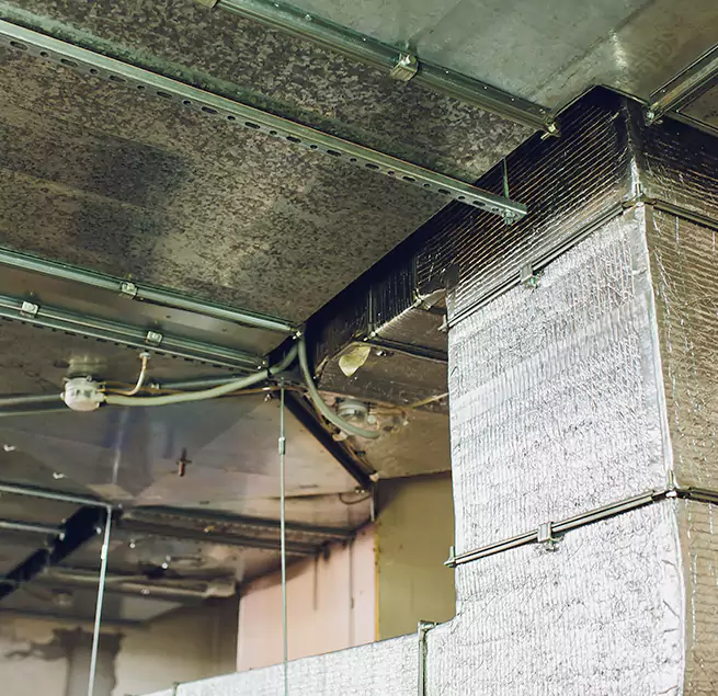 Why Homeowners & Businesses Trust Us in Salem, MA?